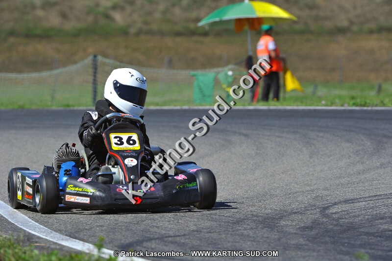 DSC_ (1565).jpg